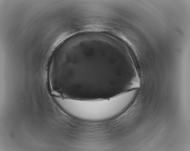 X0000112901459200909041712