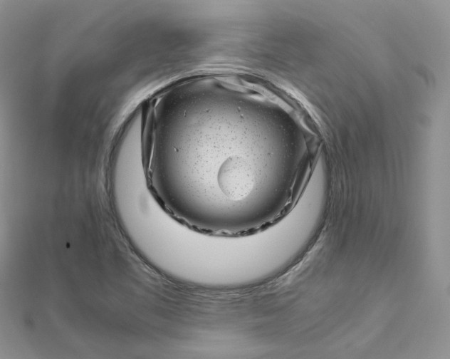 X0000112901461200909041712