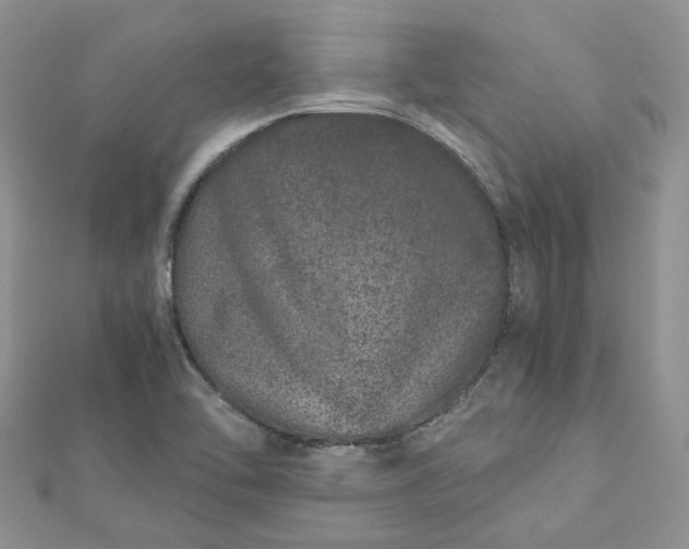 X0000112901462200909041712