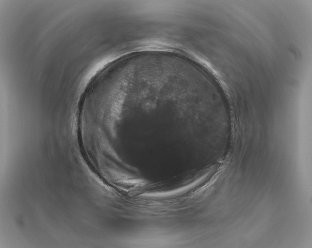 X0000112901463200909041712