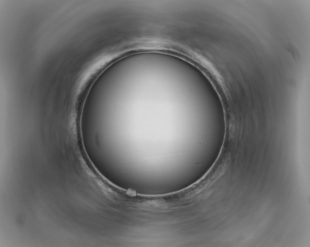 X0000112901464200909041712