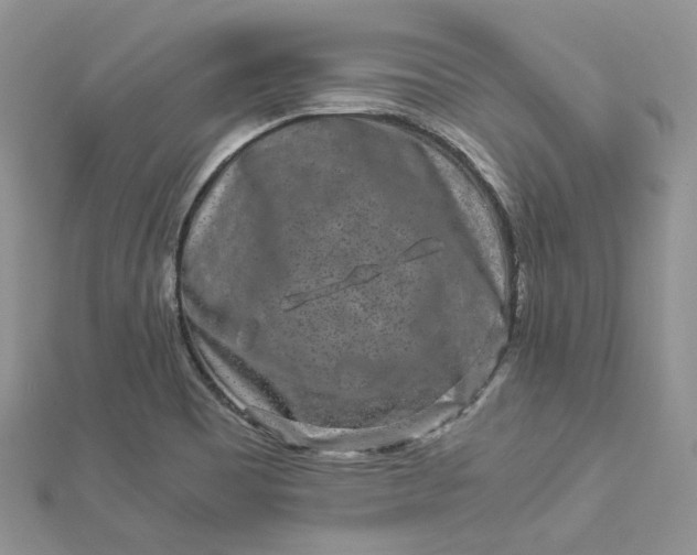 X0000112901465200909041712