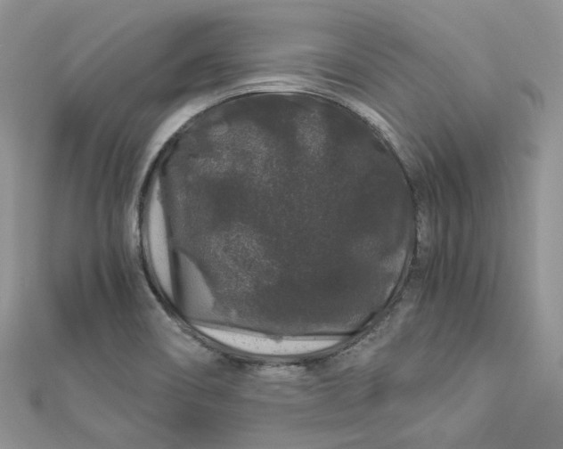 X0000112901466200909041712