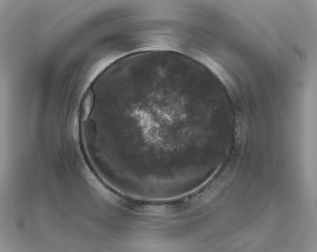 X0000112901468200909041712