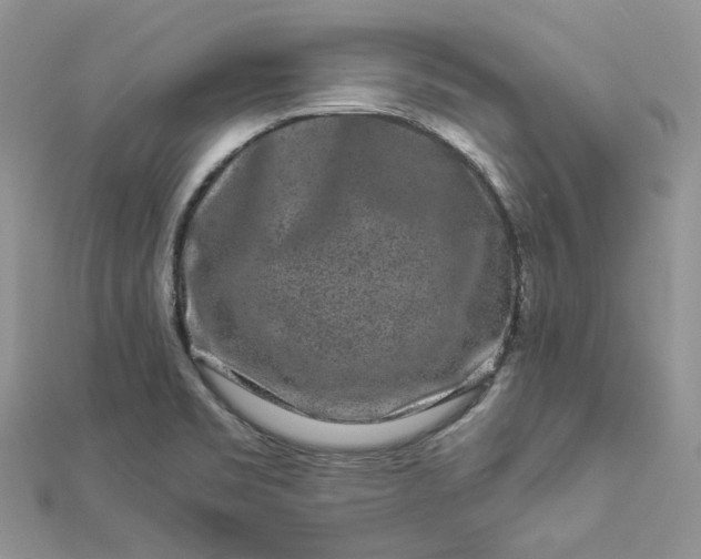 X0000112901469200909041712