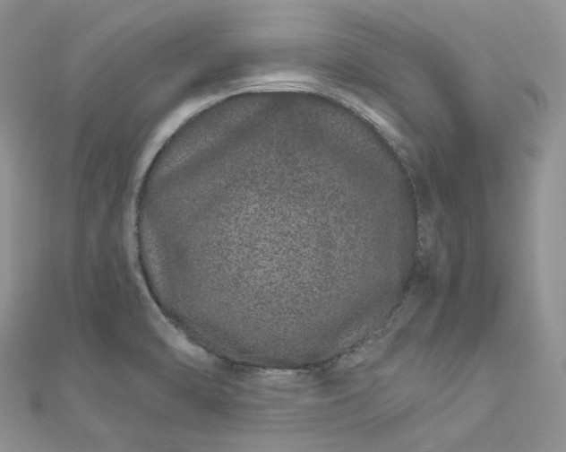 X0000112901470200909041712