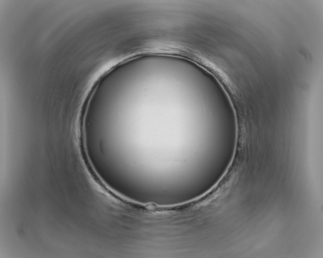 X0000112901471200909041712