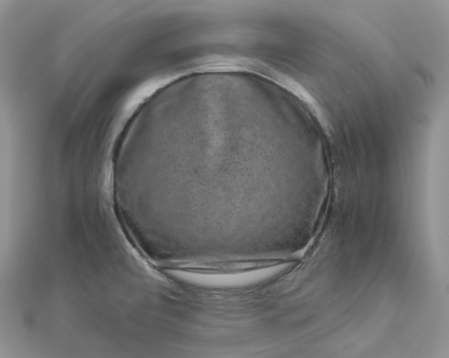 X0000112901472200909041712