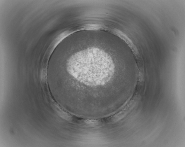 X0000112901473200909041712