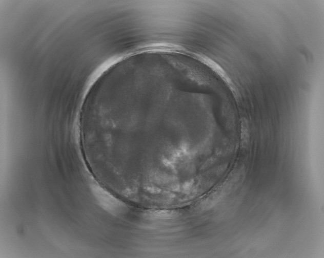 X0000112901474200909041712