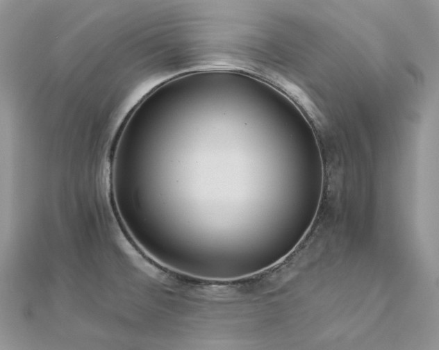 X0000112901476200909041712