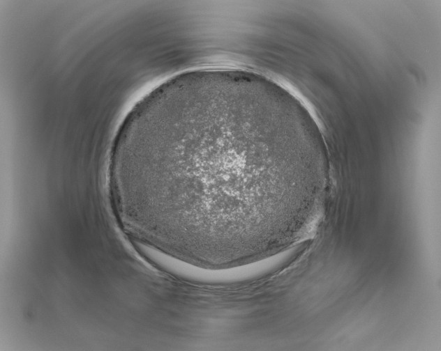 X0000112901477200909041712