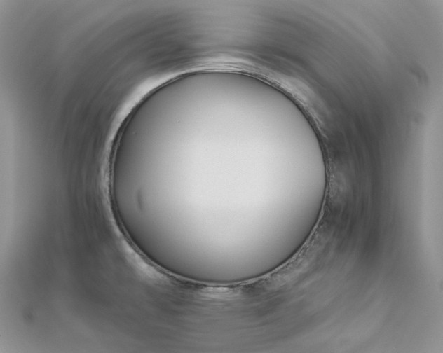 X0000112901478200909041712