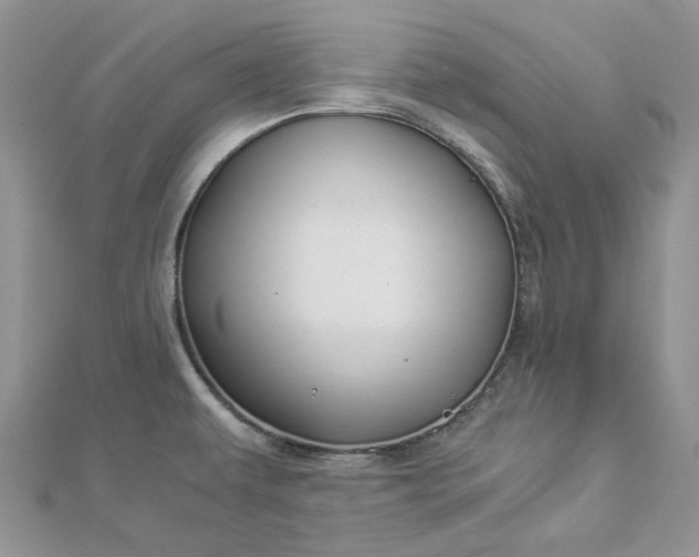 X0000112901479200909041712