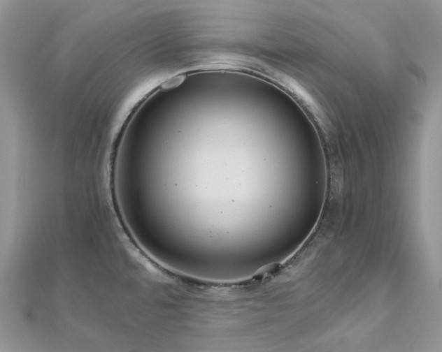 X0000112901480200909041712