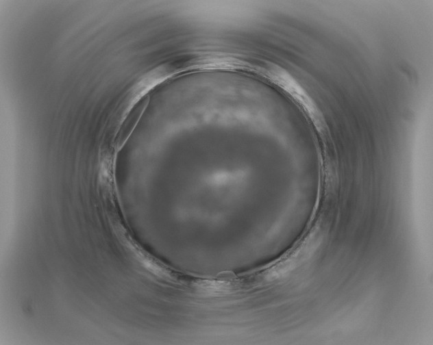 X0000112901481200909041712