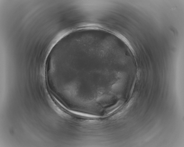 X0000112901482200909041712