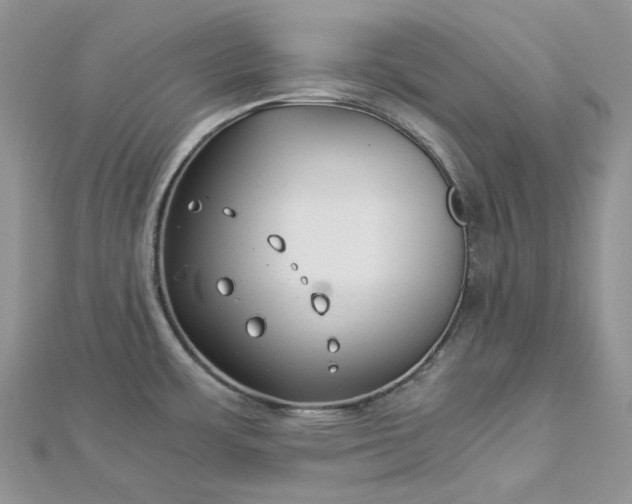 X0000112901483200909041712