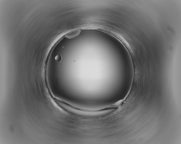 X0000112901484200909041712