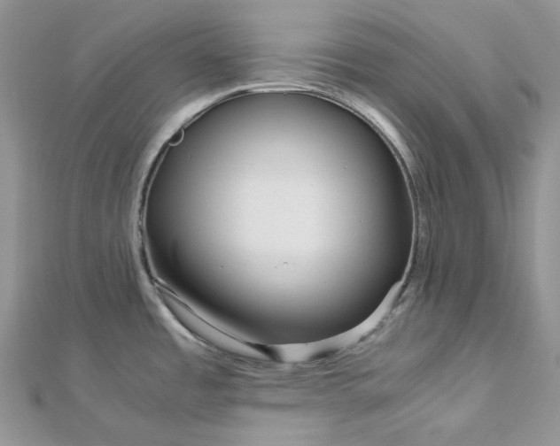 X0000112901485200909041712