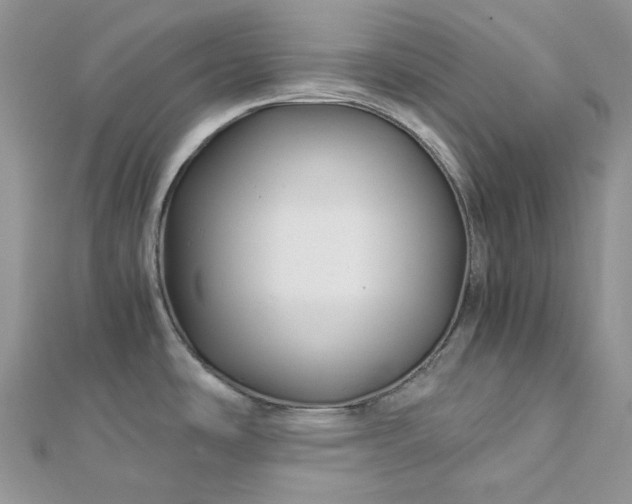 X0000112901486200909041712