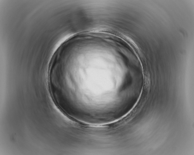 X0000112901487200909041712