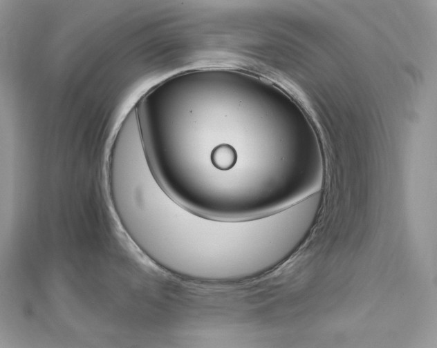 X0000112901488200909041712