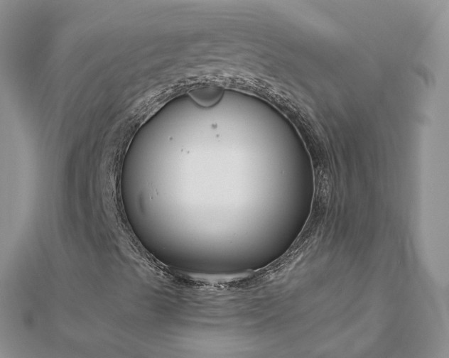 X0000112901489200909041711