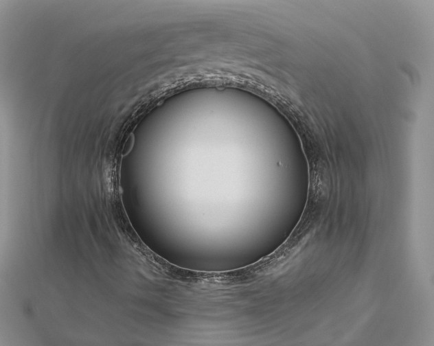 X0000112901490200909041711