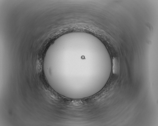 X0000112901491200909041711