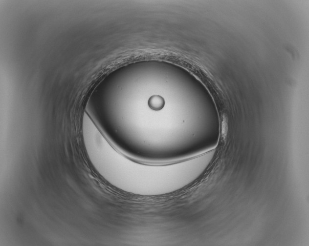 X0000112901492200909041711