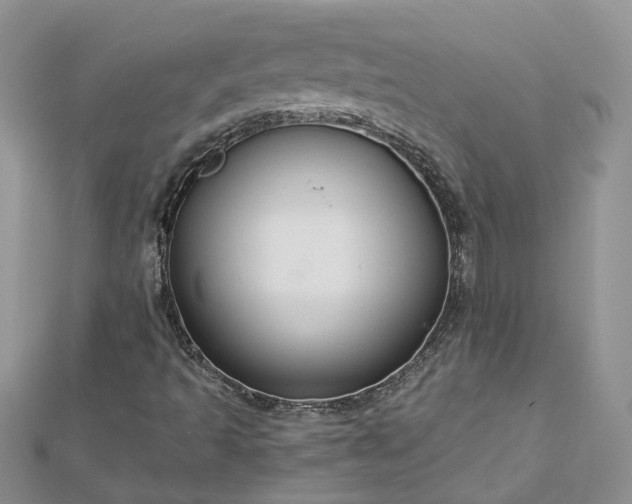 X0000112901493200909041711