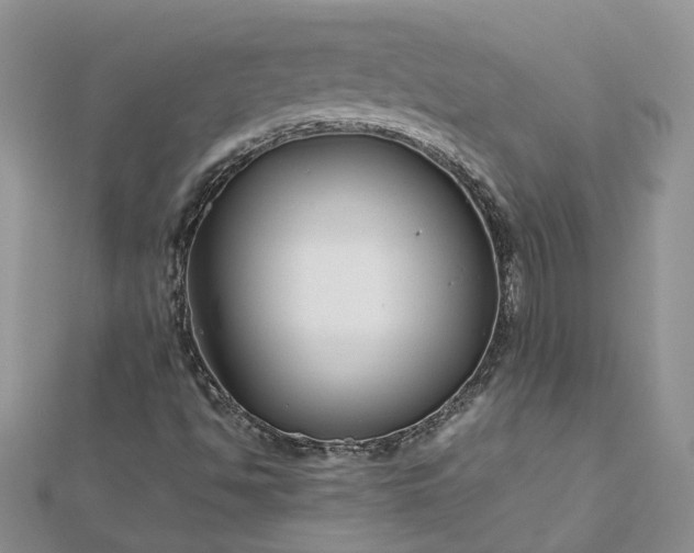 X0000112901494200909041711