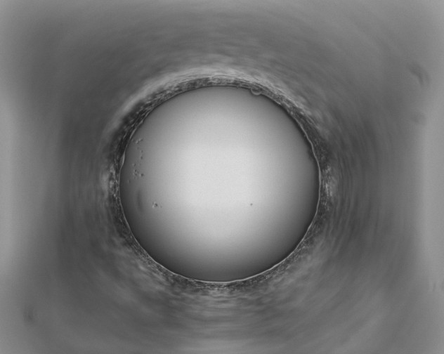 X0000112901495200909041711