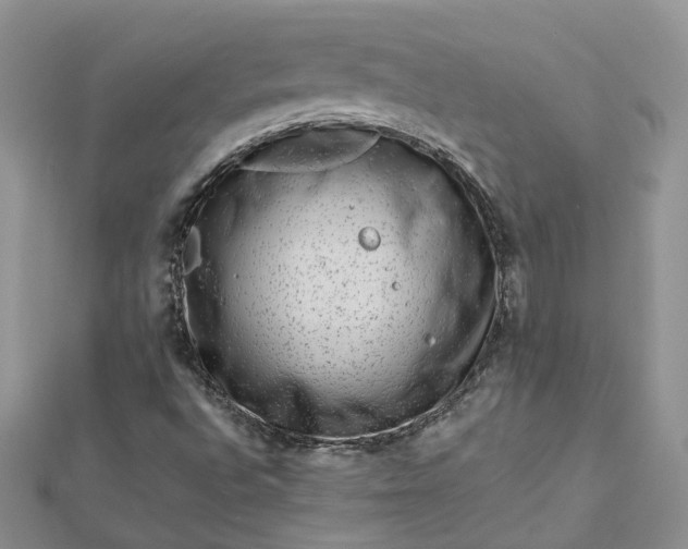 X0000112901496200909041711