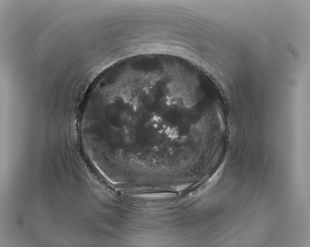 X0000112901497200909041711