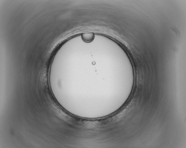 X0000112901498200909041711