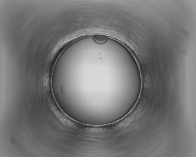 X0000112901499200909041711