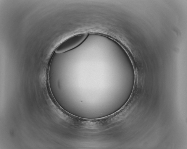 X0000112901500200909041711