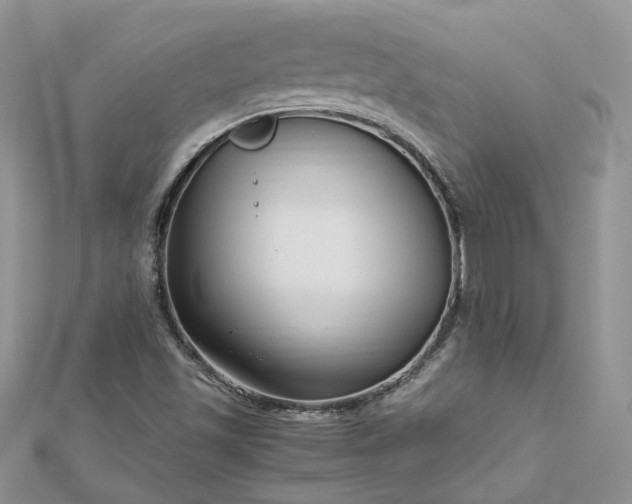 X0000112901501200909041711