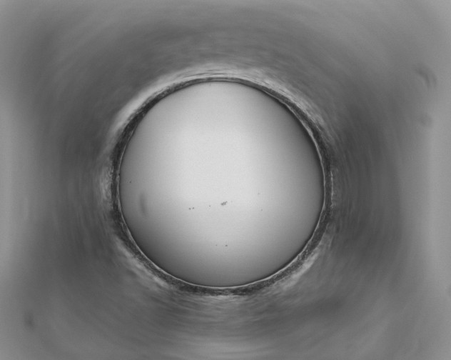 X0000112901502200909041711