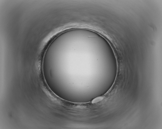 X0000112901503200909041711