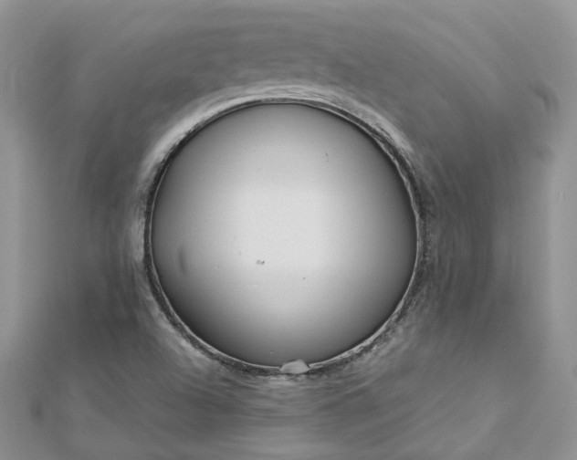 X0000112901504200909041711