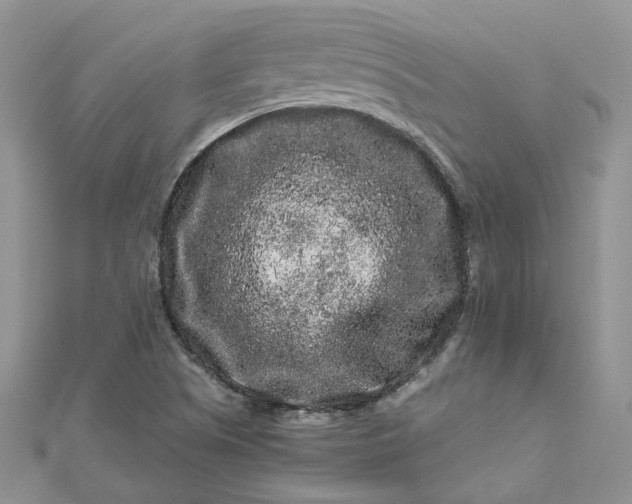 X0000112901505200909041711