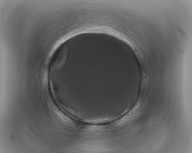 X0000112901506200909041711