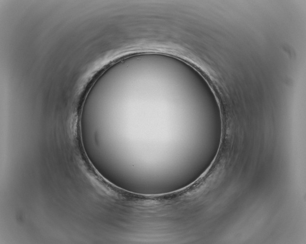 X0000112901507200909041711