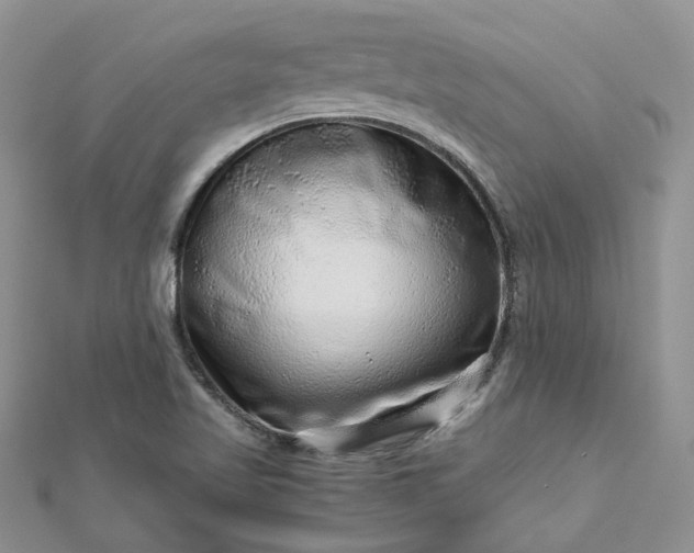 X0000112901509200909041711