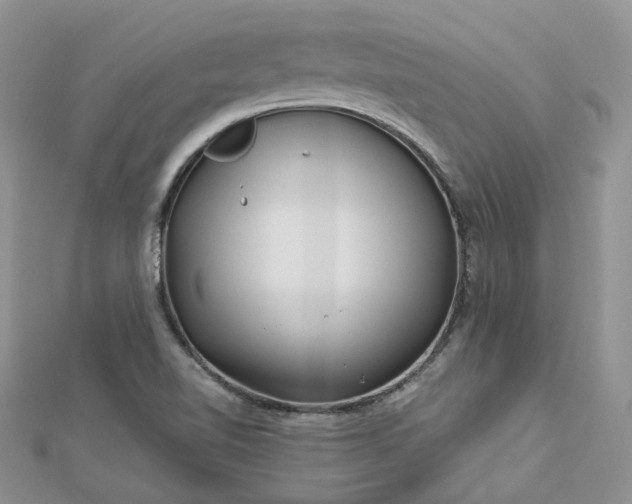 X0000112901510200909041711