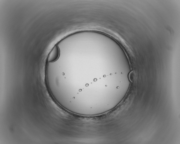 X0000112901512200909041711