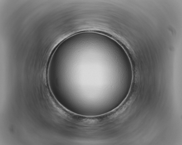 X0000112901513200909041711